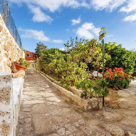 Mountain Getaway For Hikers 2 Villa Arafo Екстериор снимка